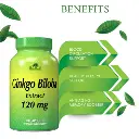 Suplemento Dietético Alfa Vitamins Ginkgo Biloba 120mg 60 Cápsulas 24-A.webp