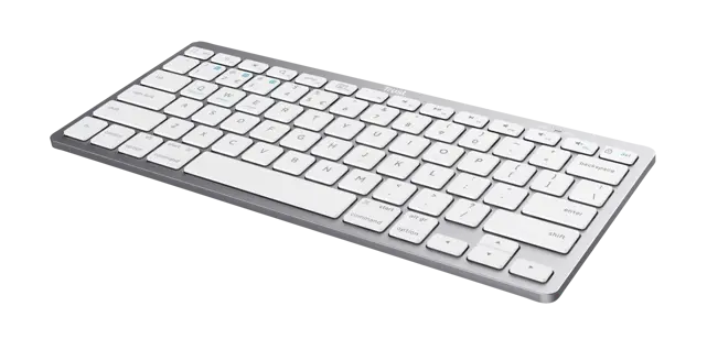 TR00119_4.webp