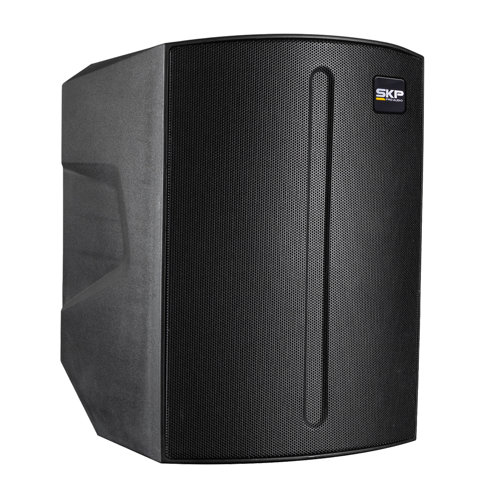 SKP Q1 PRO 6.5" 300W RSM PARLANTE RECARGABLE CON BLUETOOTH QIPRO