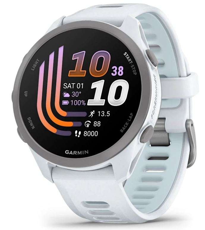 SmartWatch Garmin Forerunner 170 Music 42mm Whitestone/Cloud Blue 010-03920-11