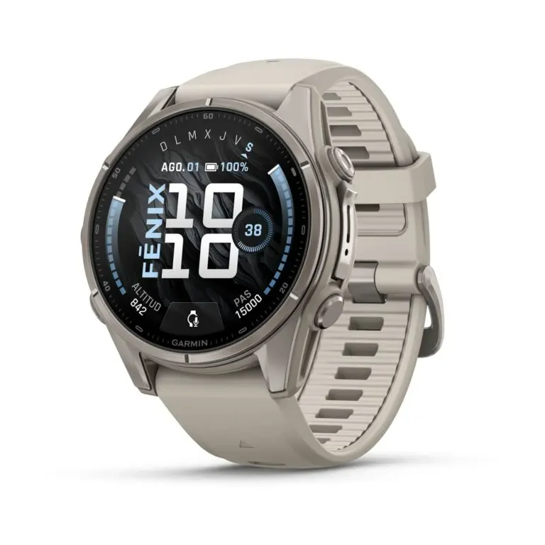 SmartWatch Garmin Fenix 9 43mm Titanium with Fog Gray Silicone Band 010-04761-00