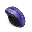 Mouse Genius RS2 Ergo 8200S 31030029402
