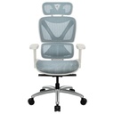 Silla Ergonómica THUNDERX3 XTC CHROMA MALLA DE CUERO SINTÉTICO TRANSPIRABLE TEGC-3073102.B1