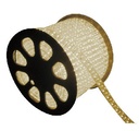 MANGUERA PLANA LEDS, 127VIP6530K