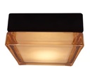 Lámpara Plafón/Pared LED 10 W, Luz Cálida Brillante, IP54, IK05 No Atenuable